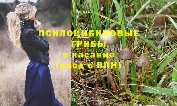амф Белоозёрский