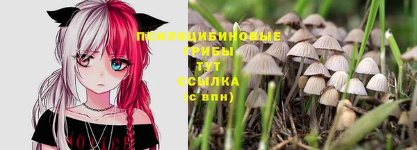 амф Белоозёрский