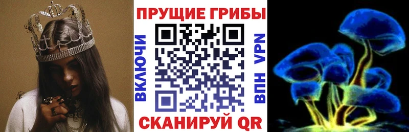 Псилоцибиновые грибы ЛСД Севск
